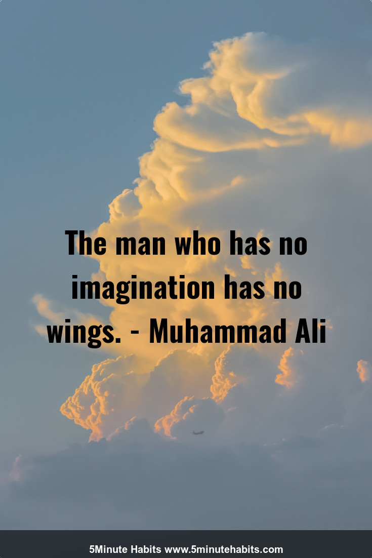 The man who has no imagination has no wings. - Muhammad Ali